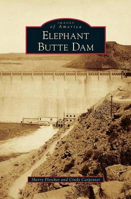 Book cover for Elephant Butte Dam