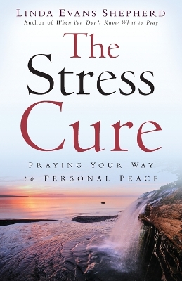 Book cover for The Stress Cure