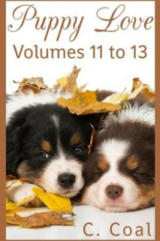 Cover of Puppy Love (Volumes 11 to 13)