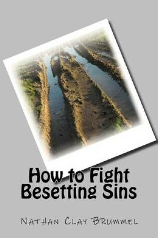 Cover of How to Fight Besetting Sins
