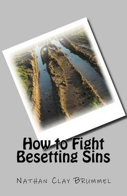 Book cover for How to Fight Besetting Sins