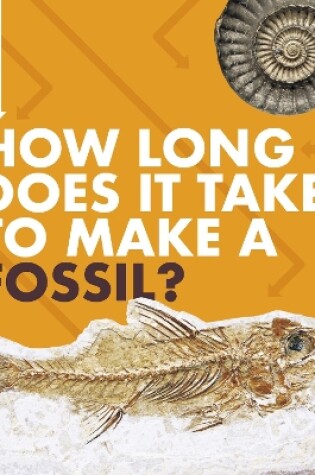 Cover of How Long Does It Take to Make a Fossil?