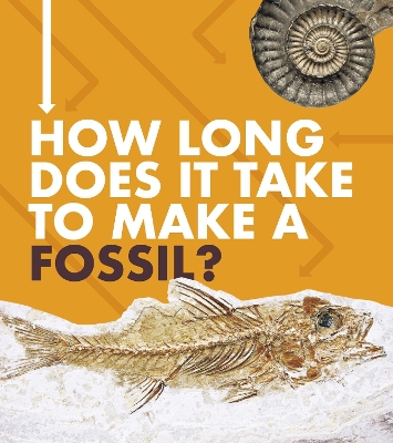 Book cover for How Long Does It Take to Make a Fossil?