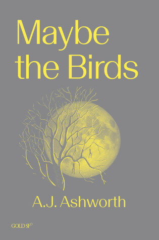 Cover of Maybe the Birds