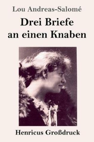 Cover of Drei Briefe an einen Knaben (Grossdruck)