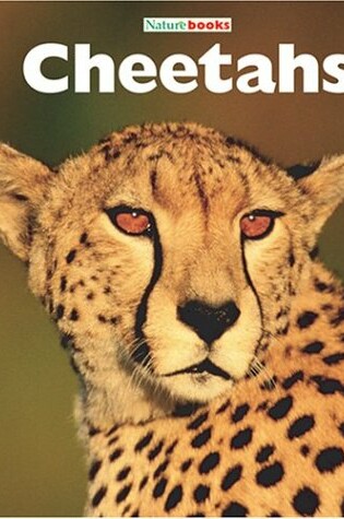 Cover of Cheetahs