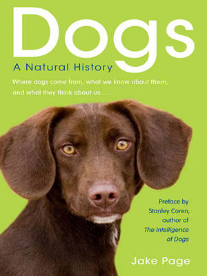 Book cover for Dogs