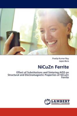 Book cover for Nicuzn Ferrite
