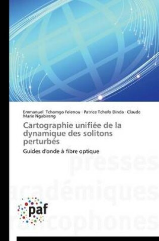 Cover of Cartographie Unifiee de la Dynamique Des Solitons Perturbes