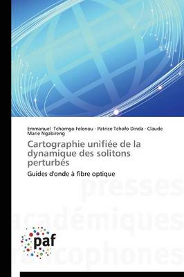 Book cover for Cartographie Unifiee de la Dynamique Des Solitons Perturbes