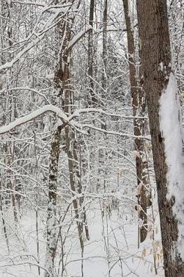 Cover of 2019 Weekly Planner Winter Scenic Photo 134 Pages