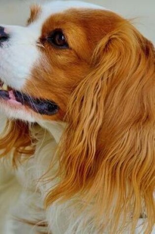 Cover of Cavalier King Charles Spaniel Dog Profile Journal