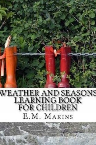 Cover of Weather and Seasons Learning Book for Children