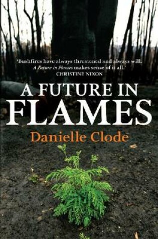 Cover of A Future In Flames, A