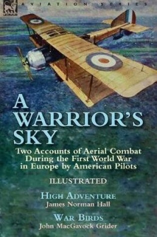 Cover of A Warrior's Sky