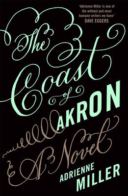 Book cover for The Coast Of Akron