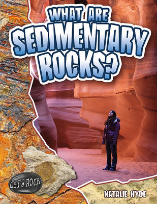 Cover of What Are Sedimentary Rocks?