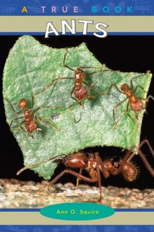 Cover of Ants