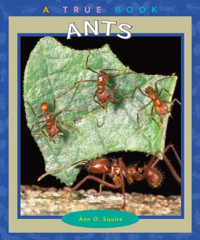 Cover of Ants