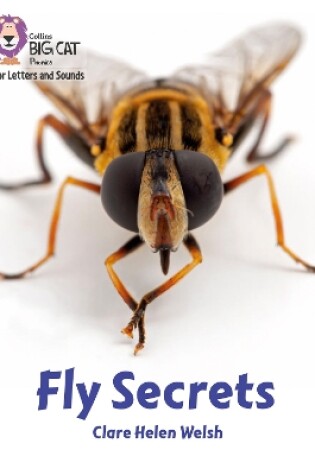 Cover of Fly Secrets