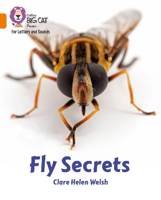 Book cover for Fly Secrets