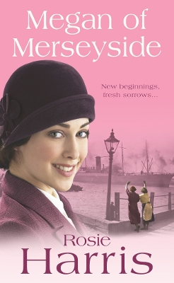 Book cover for Megan of Merseyside