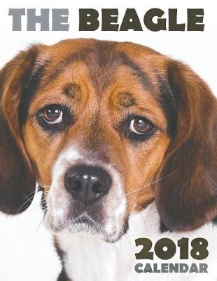 Book cover for The Beagle 2018 Calendar (UK Edition)