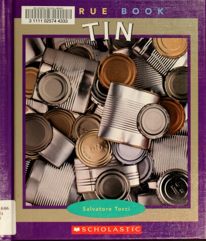 Book cover for Tin