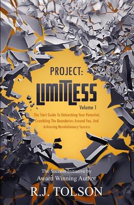 Book cover for The Success Initiative (Project