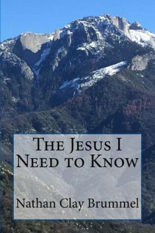 Cover of The Jesus I Need to Know