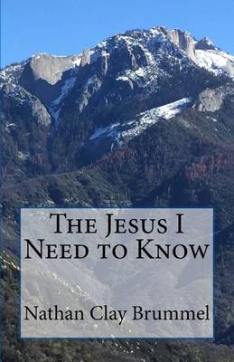 Book cover for The Jesus I Need to Know