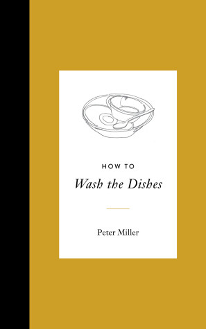 Book cover for How to Wash the Dishes