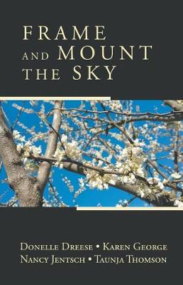 Book cover for Frame and Mount the Sky