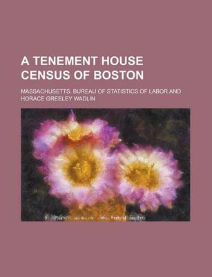 Book cover for A Tenement House Census of Boston