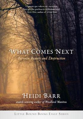 Book cover for What Comes Next