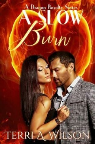 Cover of A Slow Burn