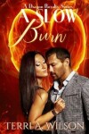 Book cover for A Slow Burn