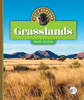 Book cover for Let's Explore Grasslands