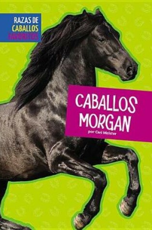 Cover of Caballos Morgan