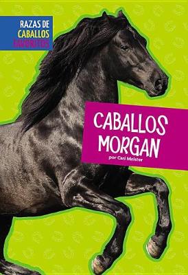 Book cover for Caballos Morgan