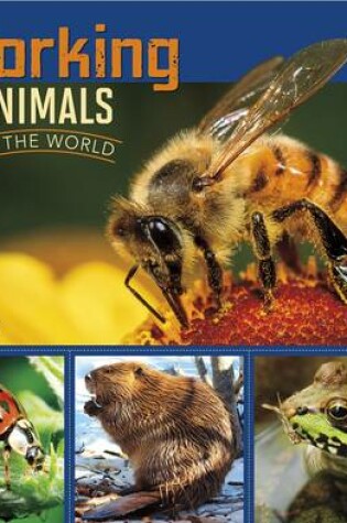 Cover of Working Animals of the World (All About Animals)