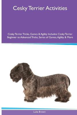 Book cover for Cesky Terrier Activities Cesky Terrier Tricks, Games & Agility. Includes