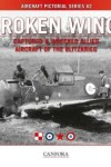 Book cover for Broken Wings: Captured & Wrecked Aircraft of the Blitzkrieg