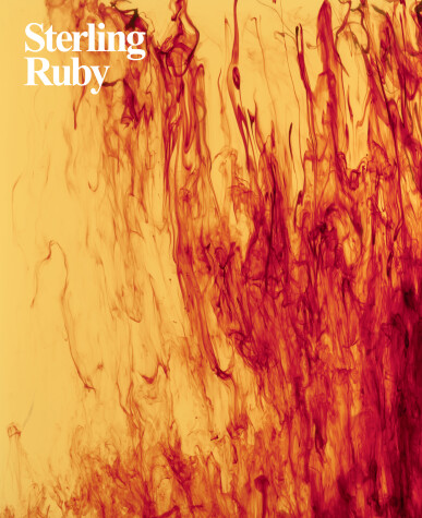 Book cover for Sterling Ruby