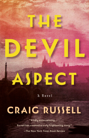 Book cover for The Devil Aspect