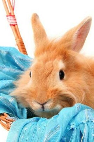 Cover of Bunny Rabbit in a Basket with a Blue Scarf