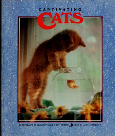 Book cover for Captivating Cats