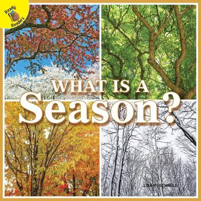 Book cover for What Is a Season?