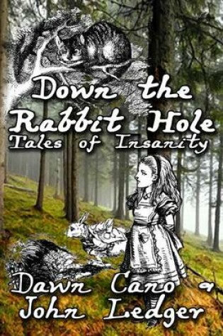 Cover of Down the Rabbit Hole