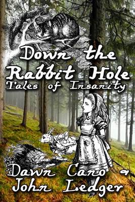 Book cover for Down the Rabbit Hole